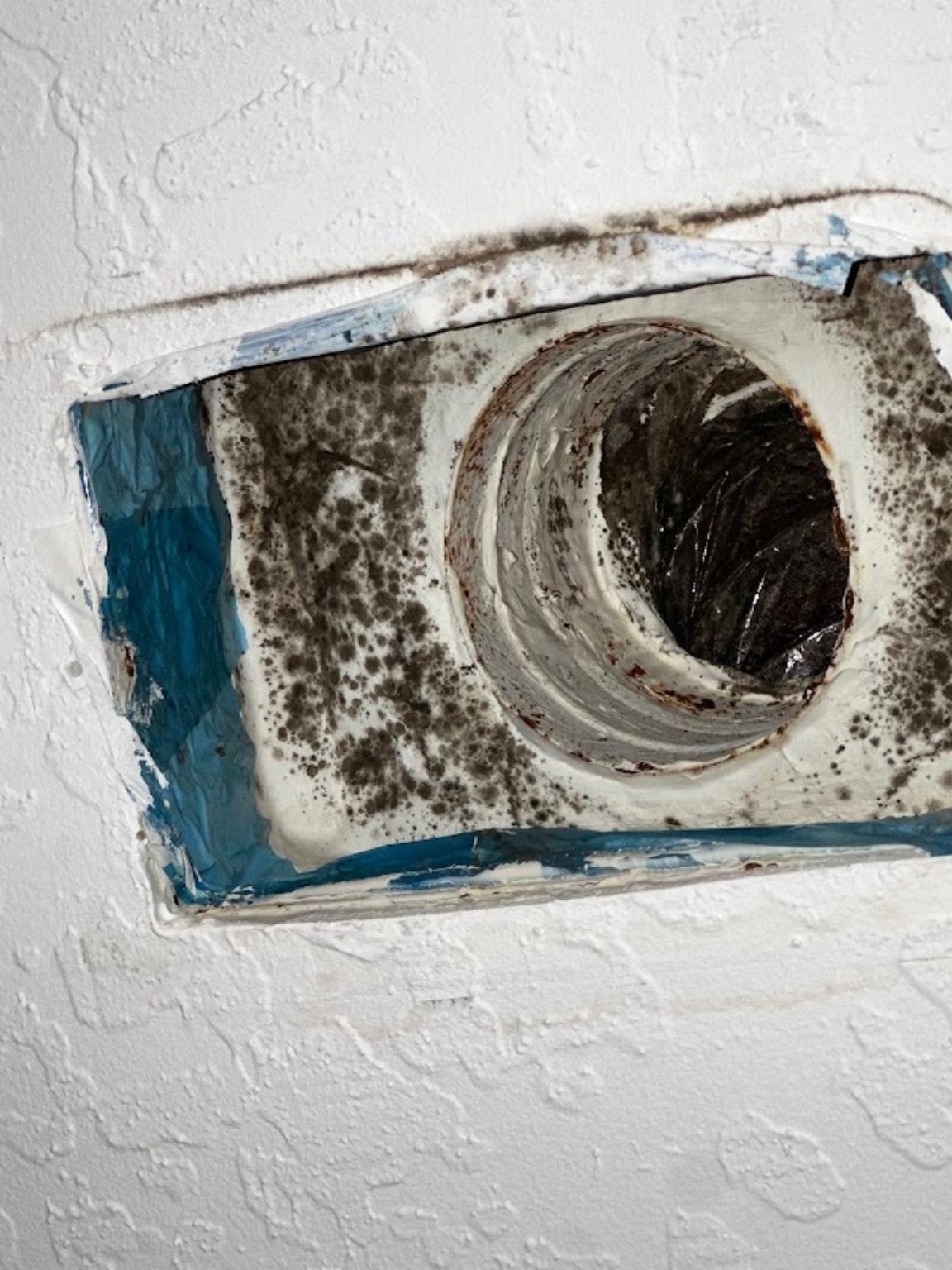 Visible mold-like growth around an HVAC duct opening