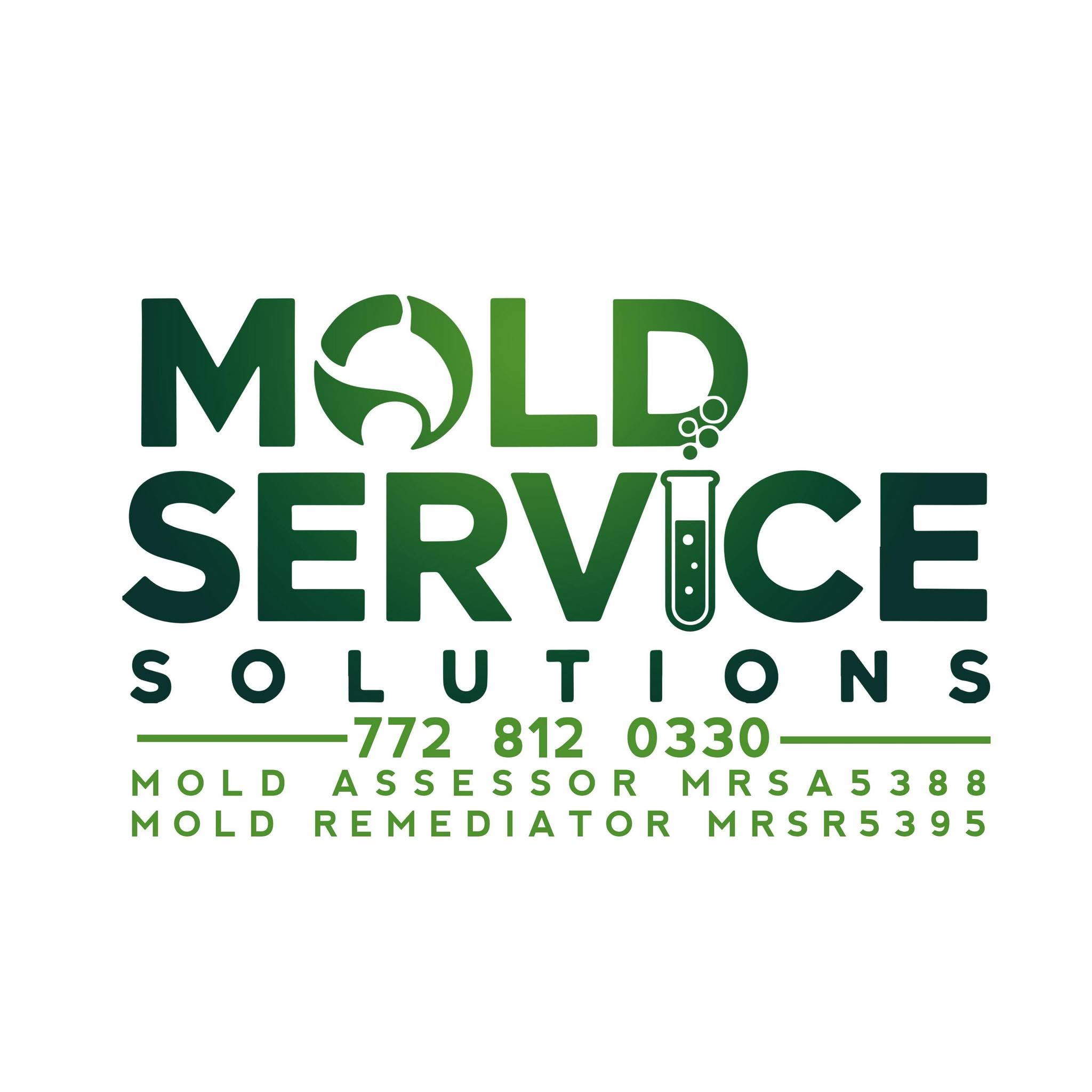 Mold Service Solutions logo
